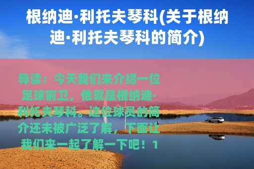 根纳迪·利托夫琴科(关于根纳迪·利托夫琴科的简介)