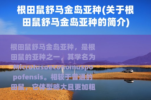 根田鼠舒马金岛亚种(关于根田鼠舒马金岛亚种的简介)