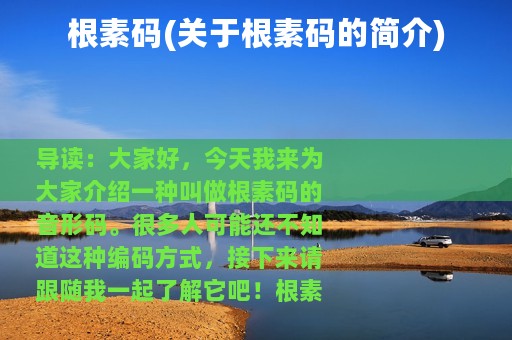 根素码(关于根素码的简介)