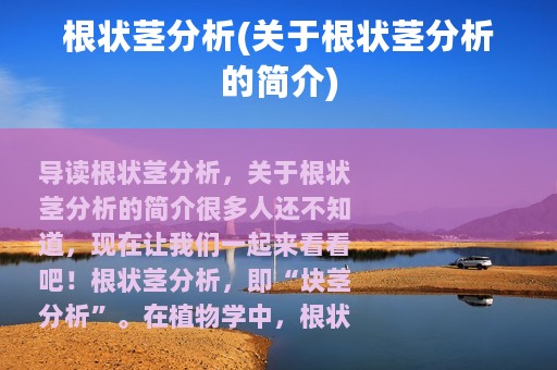 根状茎分析(关于根状茎分析的简介)