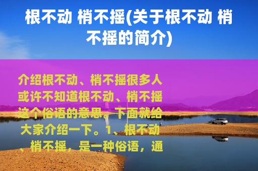 根不动 梢不摇(关于根不动 梢不摇的简介)