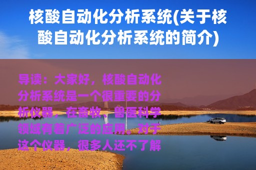 核酸自动化分析系统(关于核酸自动化分析系统的简介)