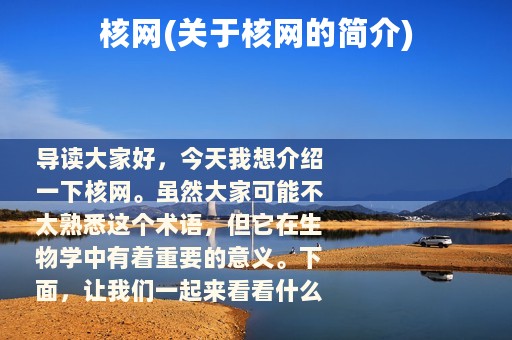 核网(关于核网的简介)