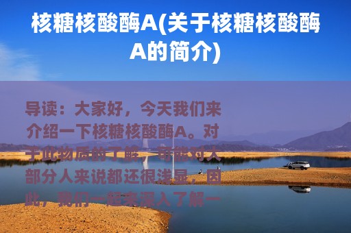 核糖核酸酶A(关于核糖核酸酶A的简介)