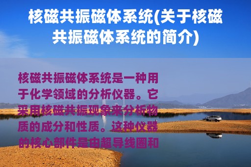 核磁共振磁体系统(关于核磁共振磁体系统的简介)