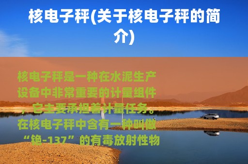 核电子秤(关于核电子秤的简介)