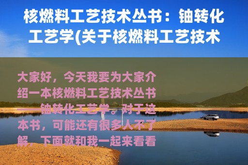 核燃料工艺技术丛书：铀转化工艺学(关于核燃料工艺技术丛书：铀转化工艺学的简介)