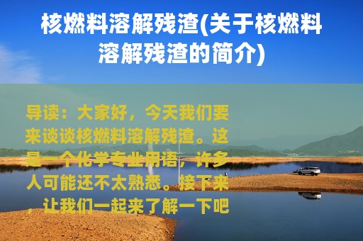 核燃料溶解残渣(关于核燃料溶解残渣的简介)