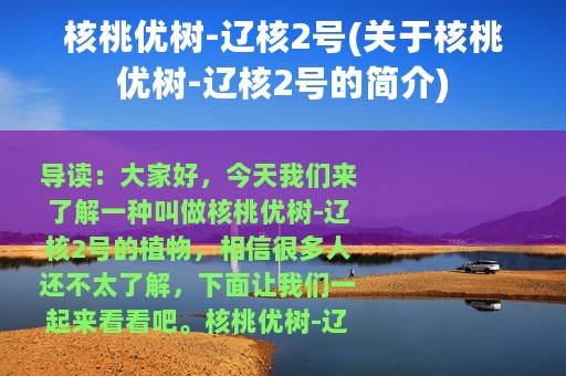 核桃优树-辽核2号(关于核桃优树-辽核2号的简介)