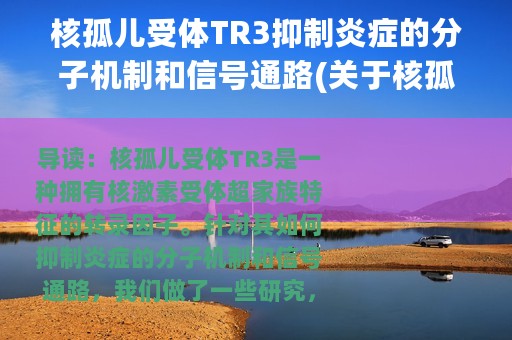 核孤儿受体TR3抑制炎症的分子机制和信号通路(关于核孤儿受体TR3抑制炎症的分子机制和信号通路的简介)