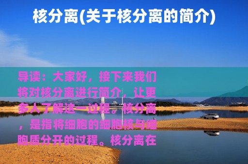 核分离(关于核分离的简介)