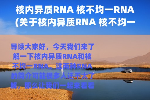 核内异质RNA 核不均一RNA(关于核内异质RNA 核不均一RNA的简介)