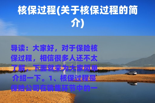 核保过程(关于核保过程的简介)