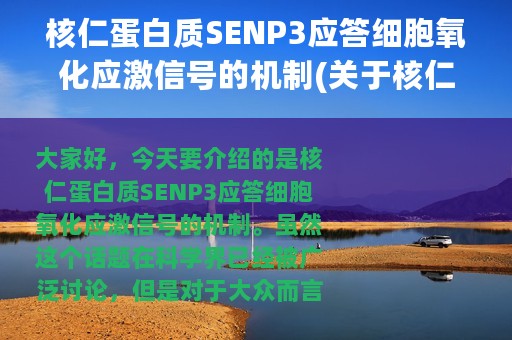 核仁蛋白质SENP3应答细胞氧化应激信号的机制(关于核仁蛋白质SENP3应答细胞氧化应激信号的机制的简介)