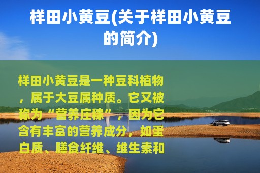 样田小黄豆(关于样田小黄豆的简介)