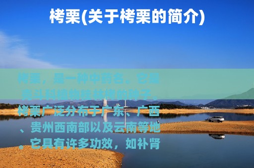 栲栗(关于栲栗的简介)