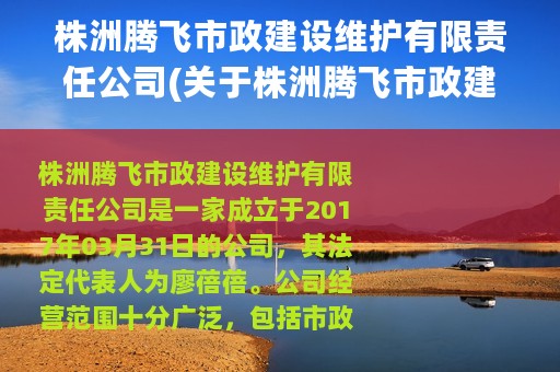 株洲腾飞市政建设维护有限责任公司(关于株洲腾飞市政建设维护有限责任公司的简介)