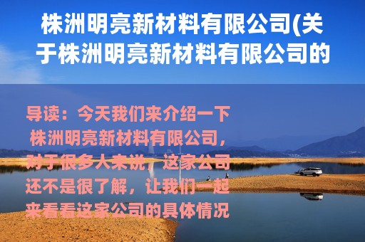 株洲明亮新材料有限公司(关于株洲明亮新材料有限公司的简介)