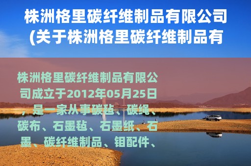 株洲格里碳纤维制品有限公司(关于株洲格里碳纤维制品有限公司的简介)