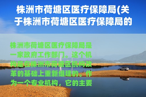 株洲市荷塘区医疗保障局(关于株洲市荷塘区医疗保障局的简介)