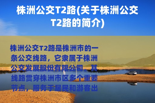 株洲公交T2路(关于株洲公交T2路的简介)