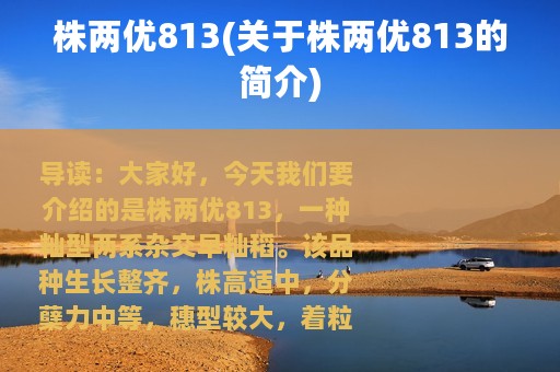 株两优813(关于株两优813的简介)