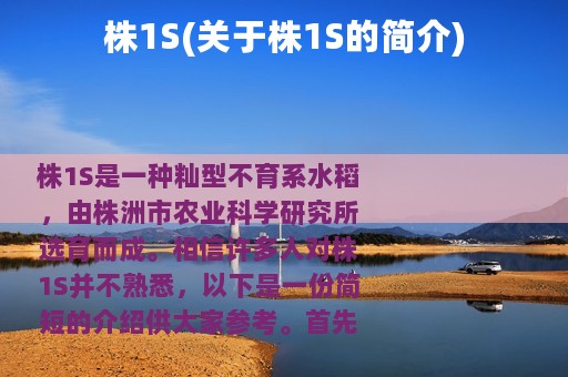 株1S(关于株1S的简介)