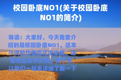 校园卧底NO1(关于校园卧底NO1的简介)