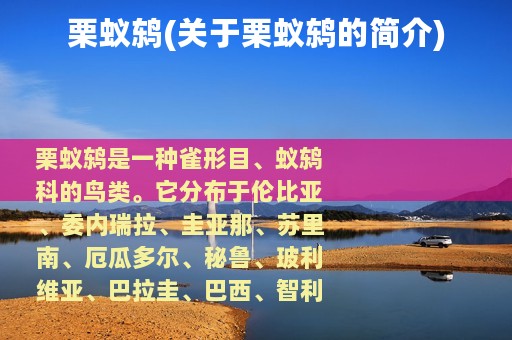 栗蚁鸫(关于栗蚁鸫的简介)