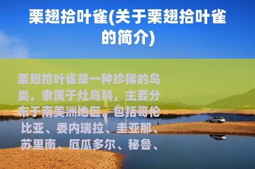 栗翅拾叶雀(关于栗翅拾叶雀的简介)