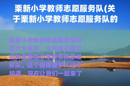 栗新小学教师志愿服务队(关于栗新小学教师志愿服务队的简介)