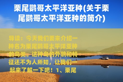 栗尾鹦哥太平洋亚种(关于栗尾鹦哥太平洋亚种的简介)