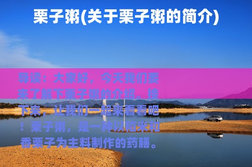 栗子粥(关于栗子粥的简介)