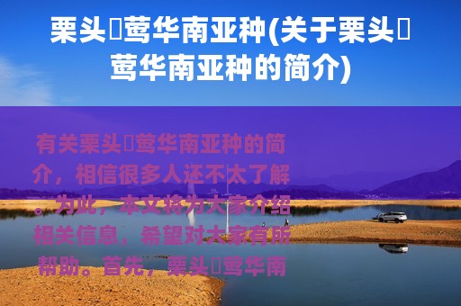 栗头鹟莺华南亚种(关于栗头鹟莺华南亚种的简介)