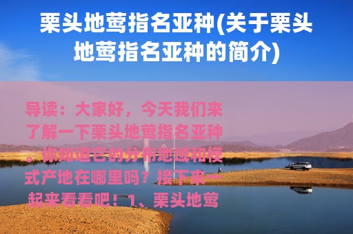 栗头地莺指名亚种(关于栗头地莺指名亚种的简介)