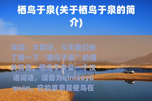 栖鸟于泉(关于栖鸟于泉的简介)