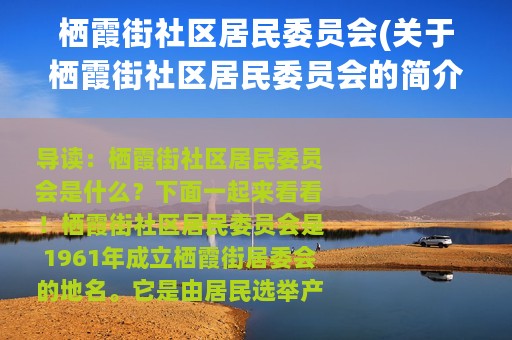 栖霞街社区居民委员会(关于栖霞街社区居民委员会的简介)