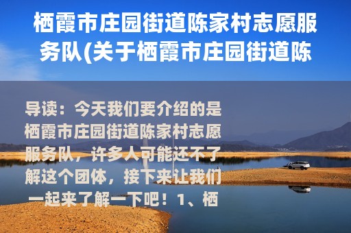 栖霞市庄园街道陈家村志愿服务队(关于栖霞市庄园街道陈家村志愿服务队的简介)