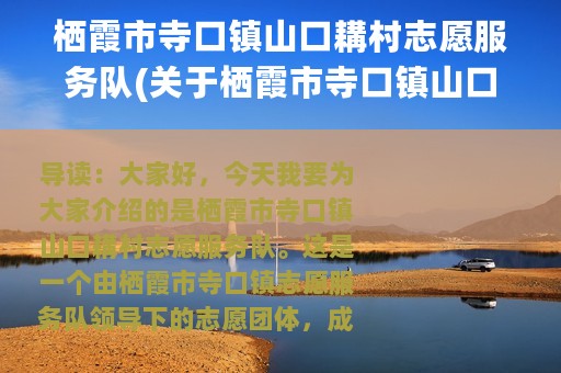 栖霞市寺口镇山口耩村志愿服务队(关于栖霞市寺口镇山口耩村志愿服务队的简介)