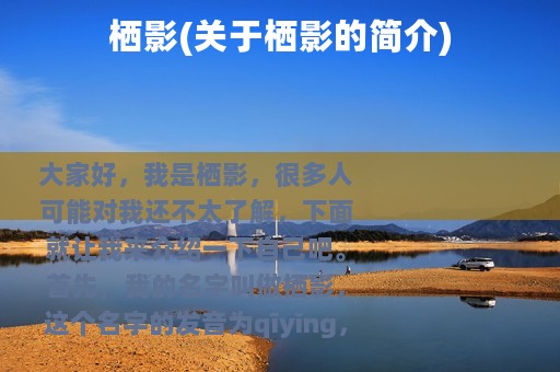 栖影(关于栖影的简介)