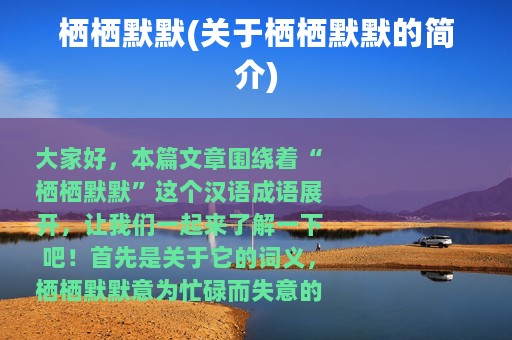 栖栖默默(关于栖栖默默的简介)