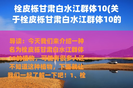 栓皮栎甘肃白水江群体10(关于栓皮栎甘肃白水江群体10的简介)