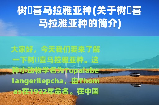 树鼩喜马拉雅亚种(关于树鼩喜马拉雅亚种的简介)