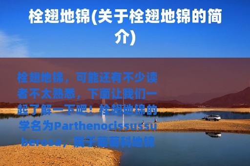 栓翅地锦(关于栓翅地锦的简介)