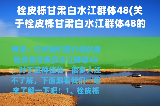 栓皮栎甘肃白水江群体48(关于栓皮栎甘肃白水江群体48的简介)
