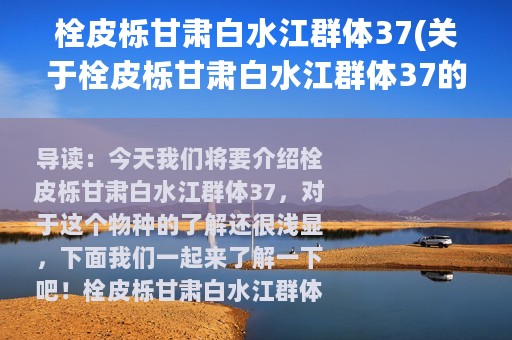 栓皮栎甘肃白水江群体37(关于栓皮栎甘肃白水江群体37的简介)