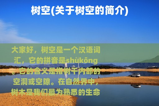 树空(关于树空的简介)