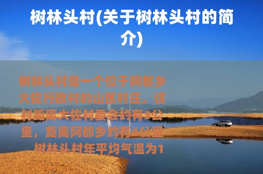 树林头村(关于树林头村的简介)