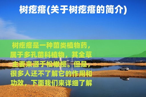 树疙瘩(关于树疙瘩的简介)