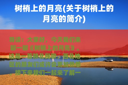 树梢上的月亮(关于树梢上的月亮的简介)